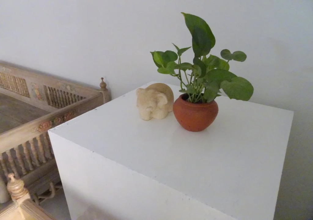 T.T. guesthouse