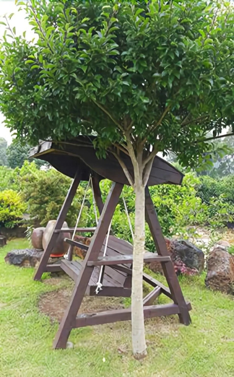 Seogwipo White Castle Pension
