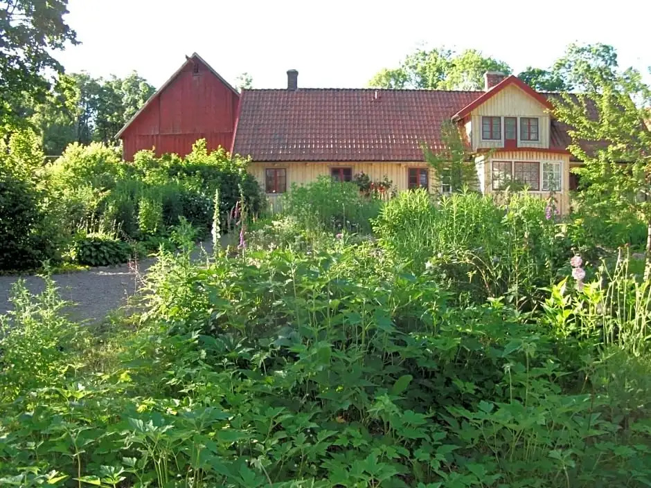 Vildrosor & Höns