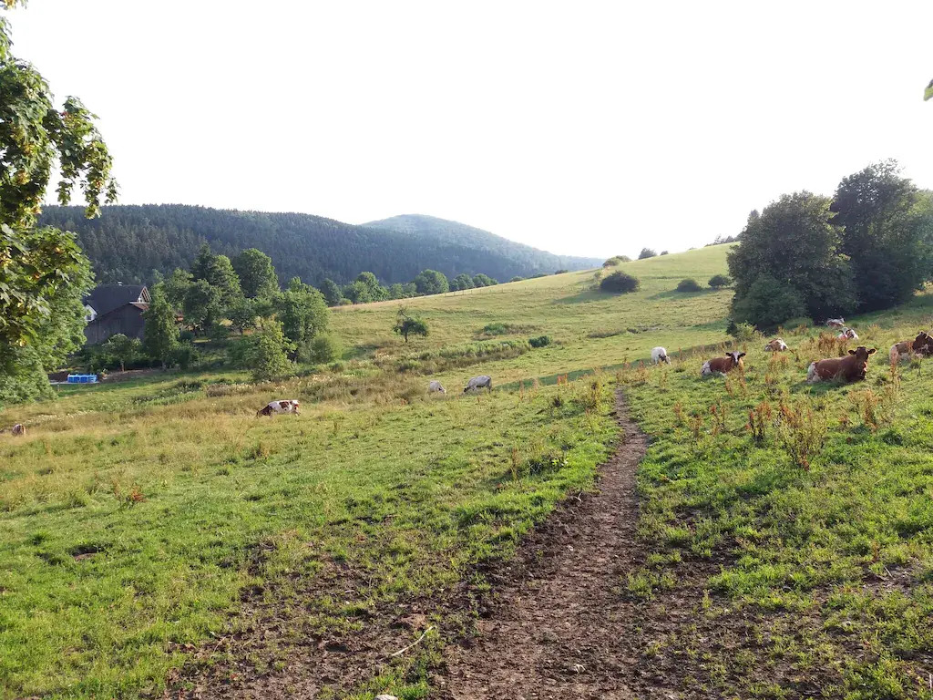 Naturrefugium bei Willingen