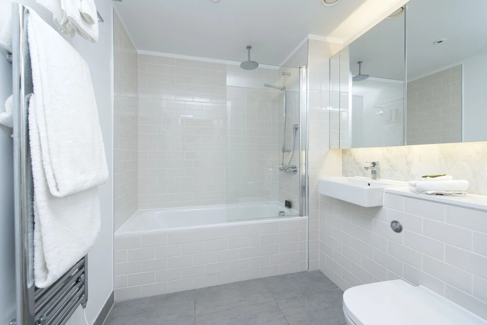 Stunning 1BR with Balcony in Zone 1!
