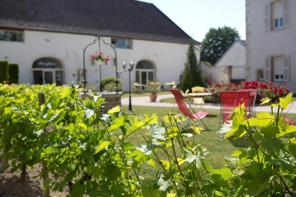 Hotel lOrée Des Vignes