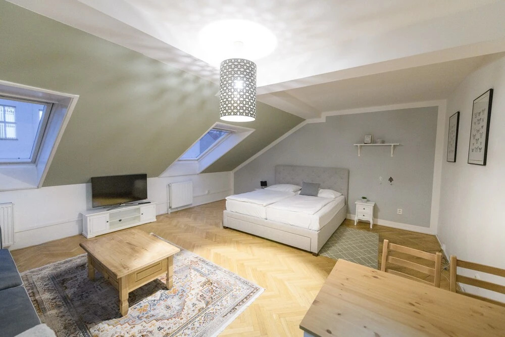 Ruzova Spot Apartments