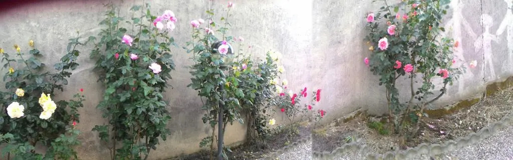 Villalbero B&B