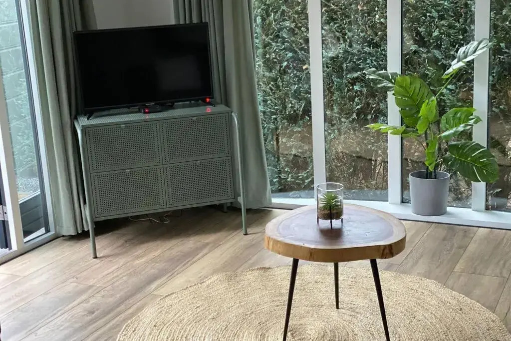 Modern rustgevend chalet in Putten 131