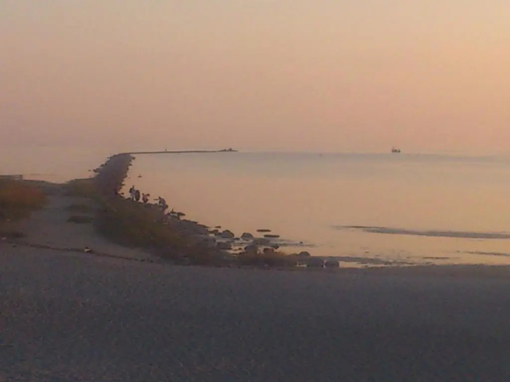 Muuli Beach Hostel