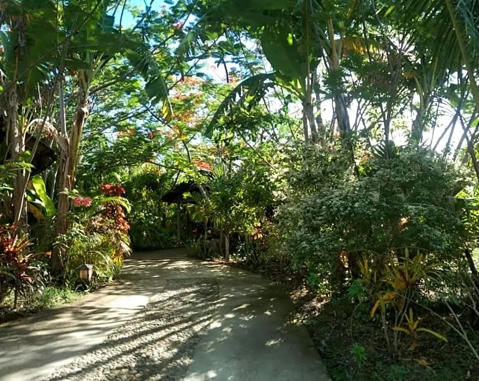 Jungle of Peace Guesthouse