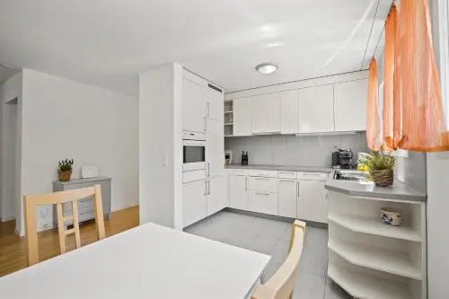 Apartment Moser
