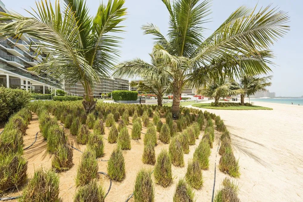 Spacious beachfront 2 bedroom apartment