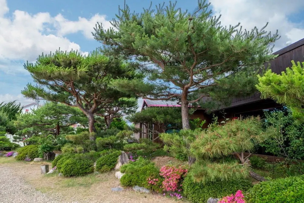 Sonamu Pension