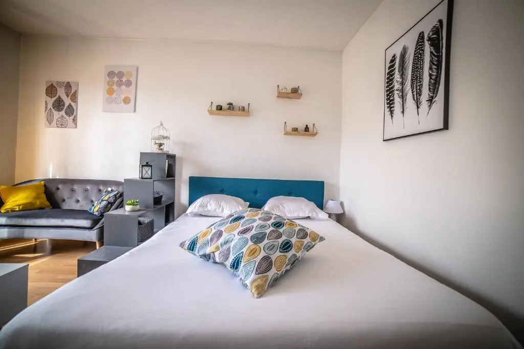 ROOSEVELT #7 - Studio coquet - 1 chambre