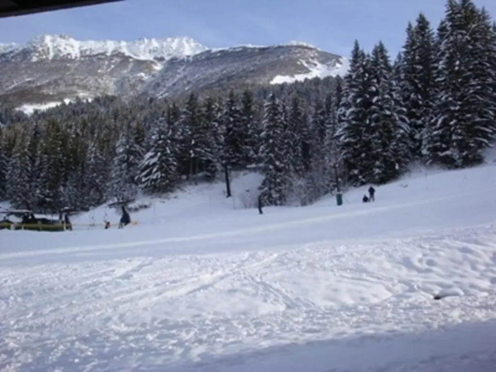 Appartement Valmorel, 2 pièces, 4 personnes - FR-1-356-264