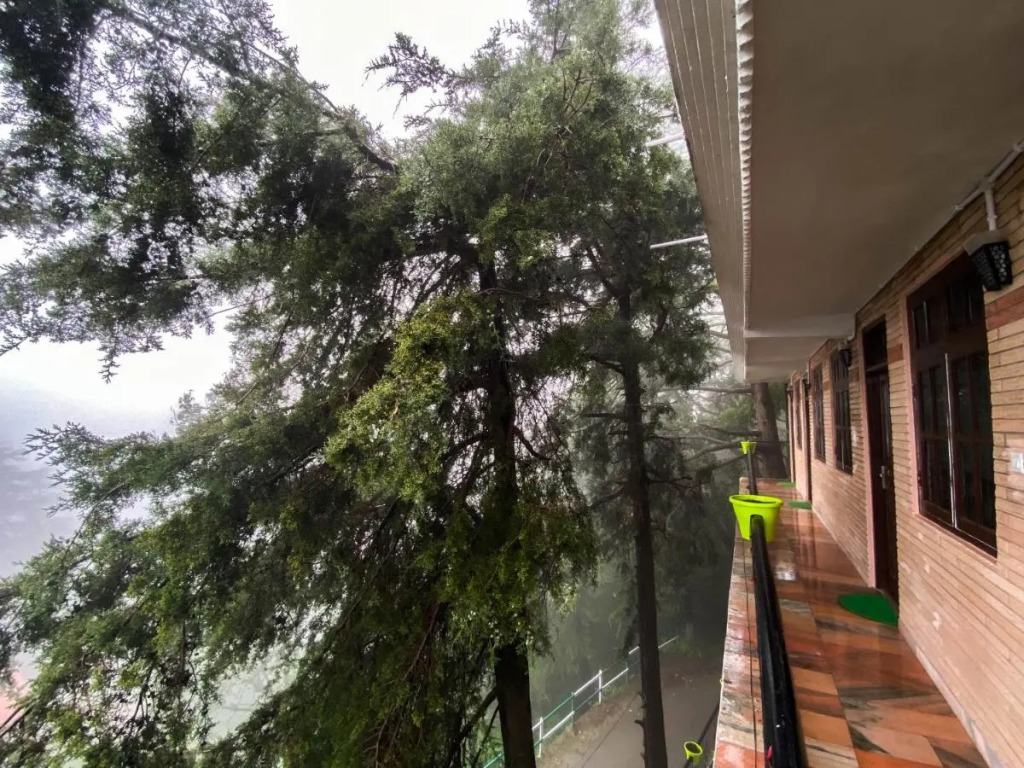 Jakhu Vibes | Valley-View Rooms