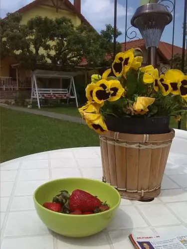 Kincsem Vendégház
