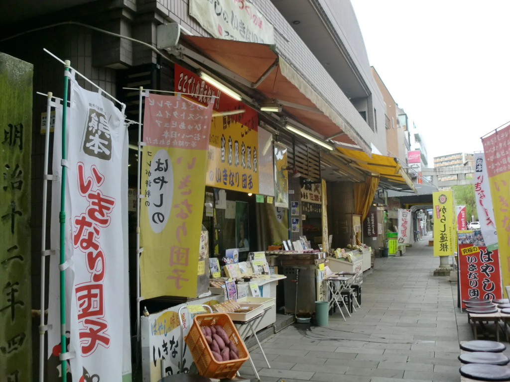 Suizenji Comfort Hotel