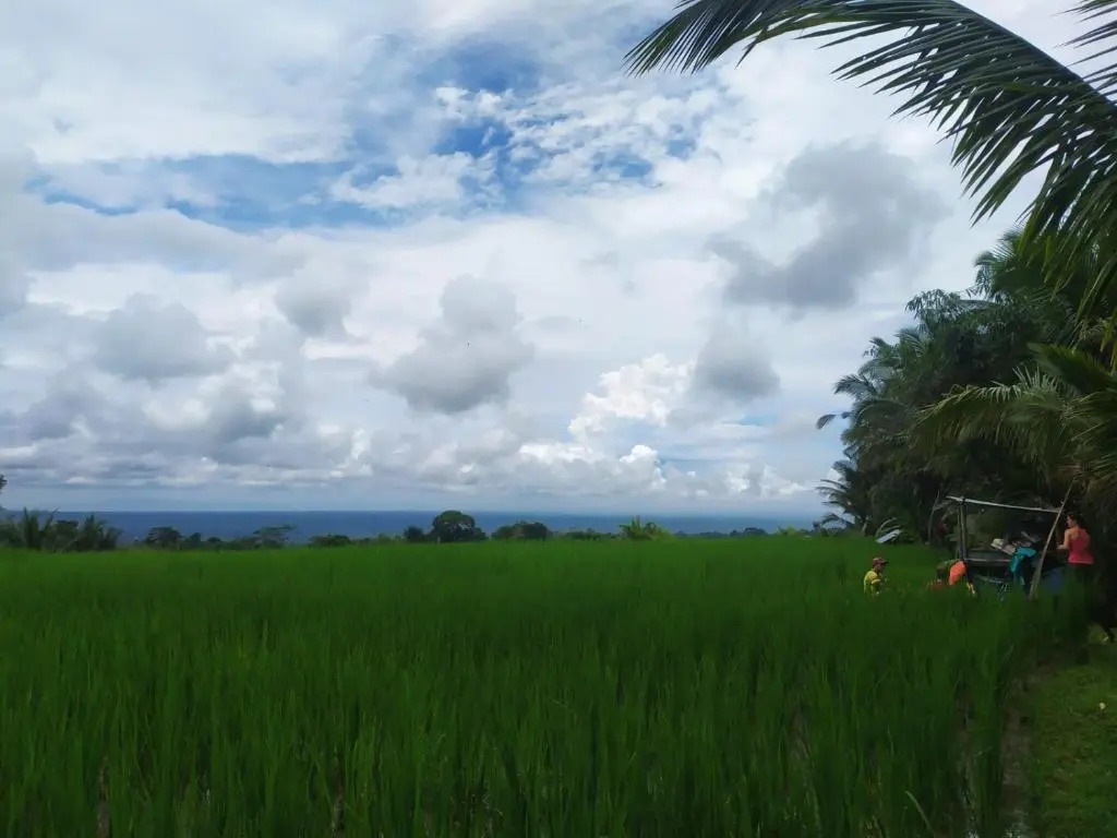 Tegal Jero Homestay