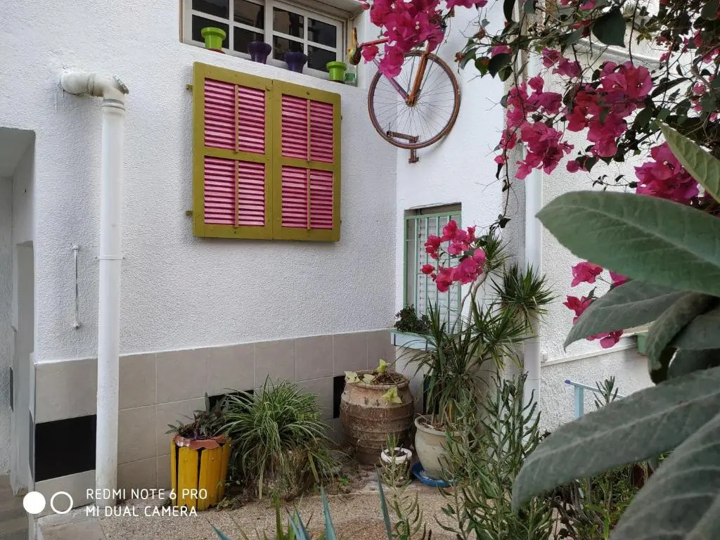 David Hostel