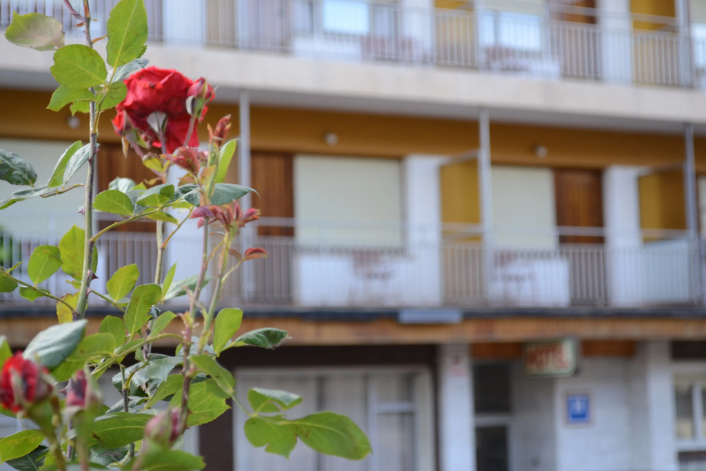 Hotel Mi Casa