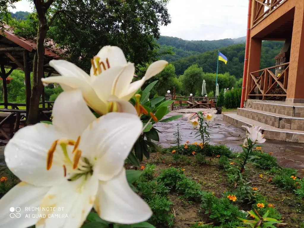 Bilovoddya Hotel