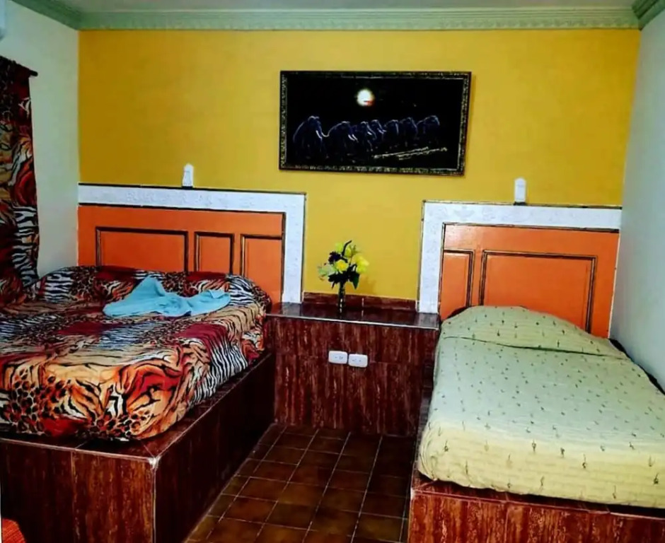 Hotel Kevin