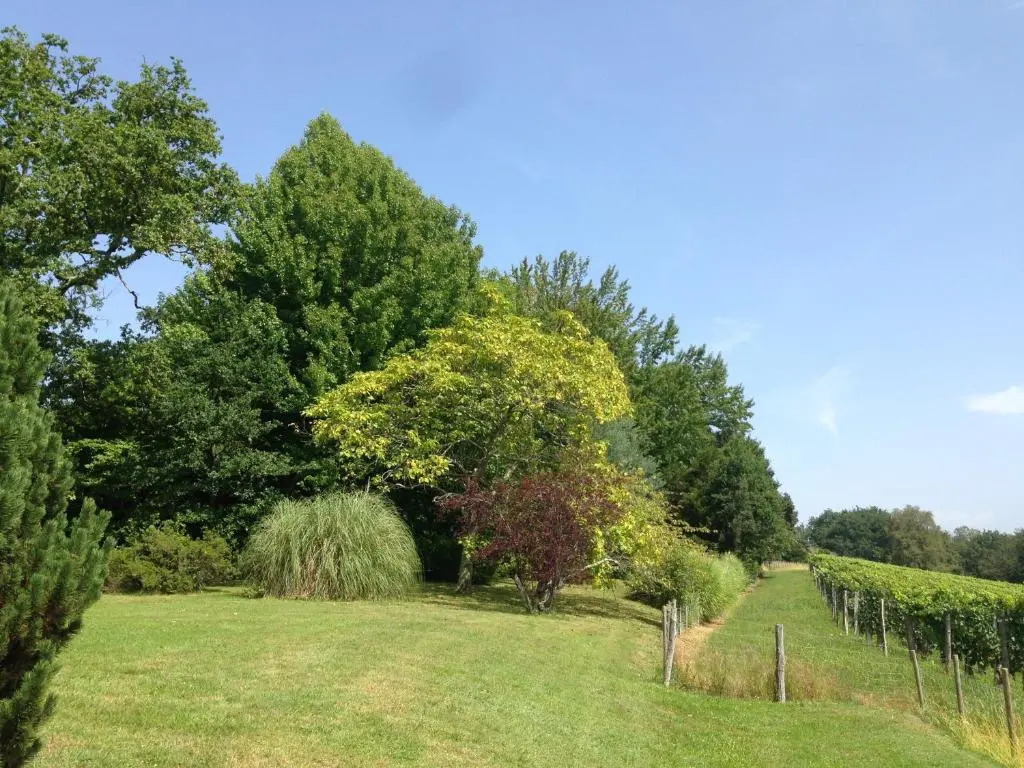 Clos Mirabel Manor - B&B