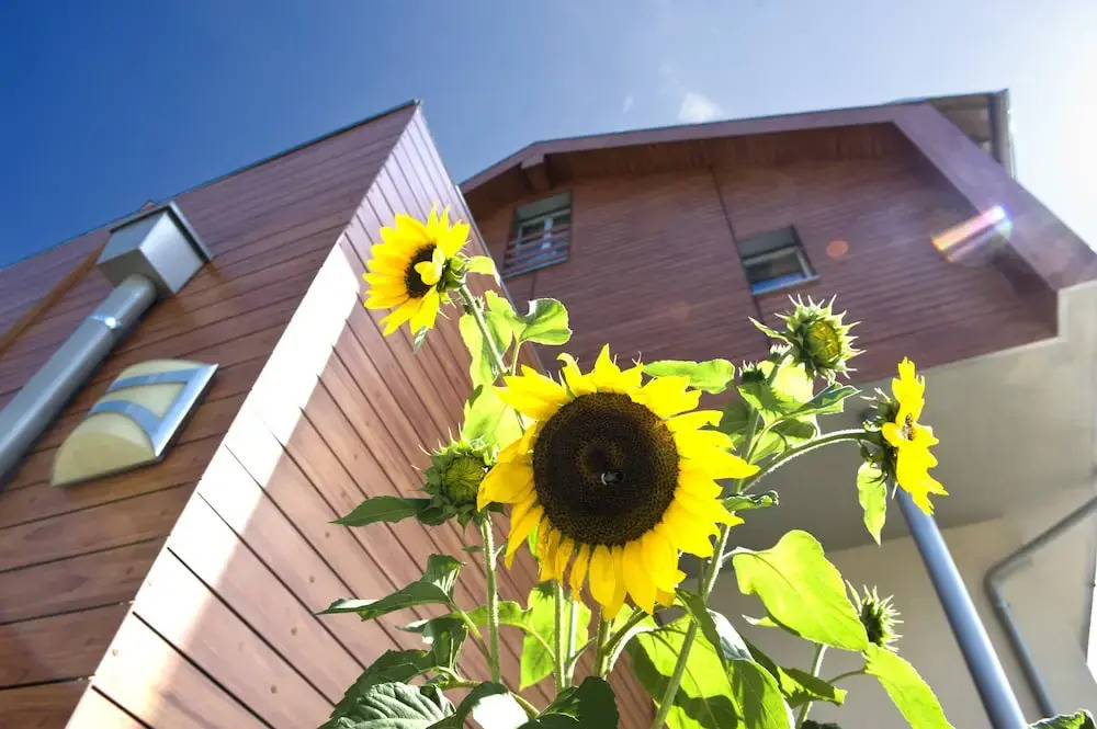 mittendorf klimaresidence