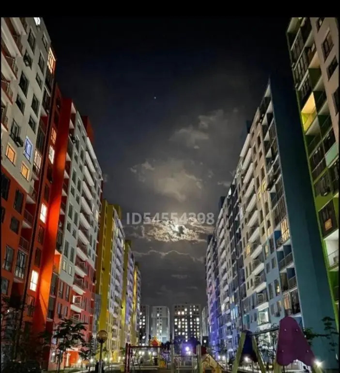 жк 12 месецев