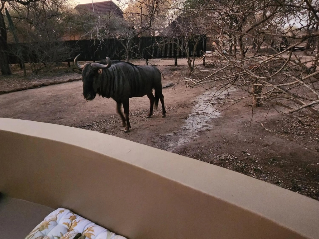 Kudus Crest Bush Retreat