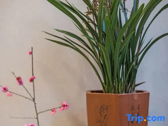Zhihao Homestay