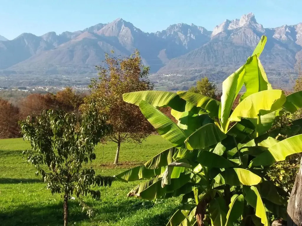 B&B Panorama Dolomiti