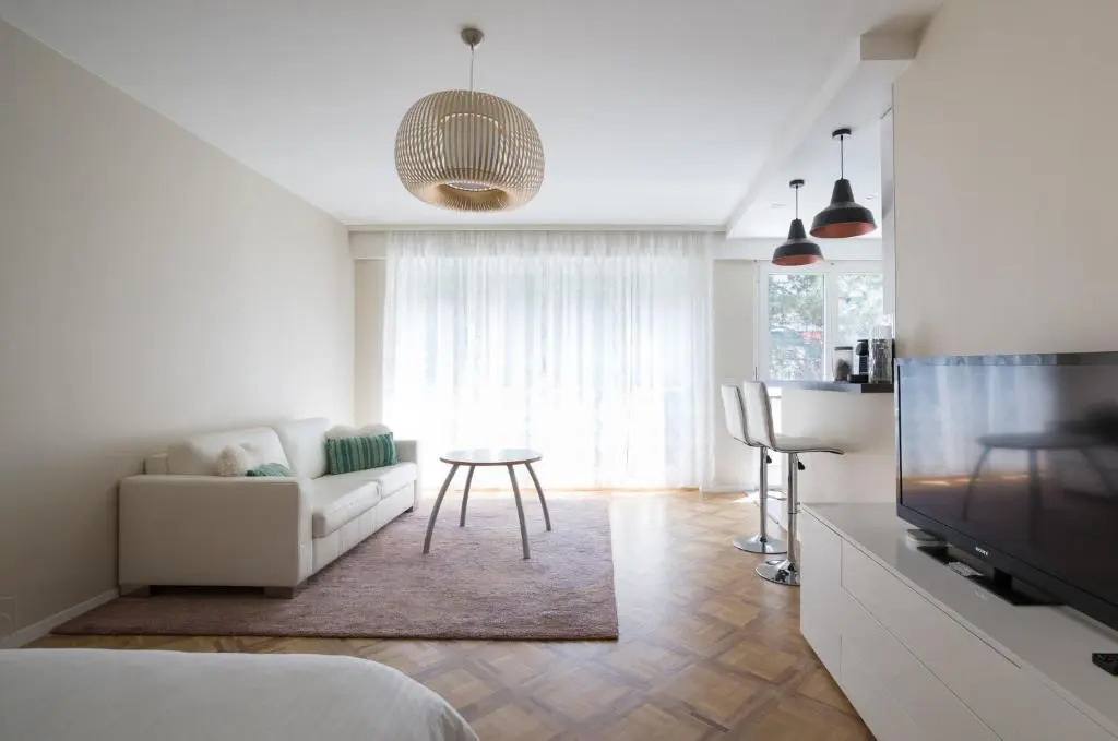 Cosy Studio Central Geneva with Parking