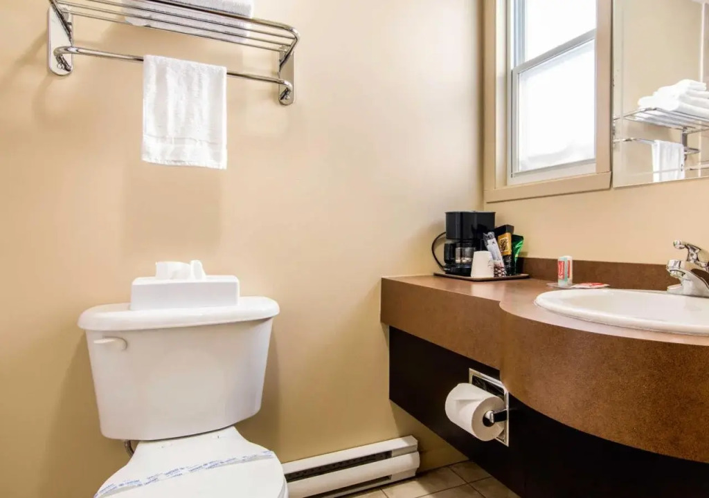 Econo Lodge Inn & Suites