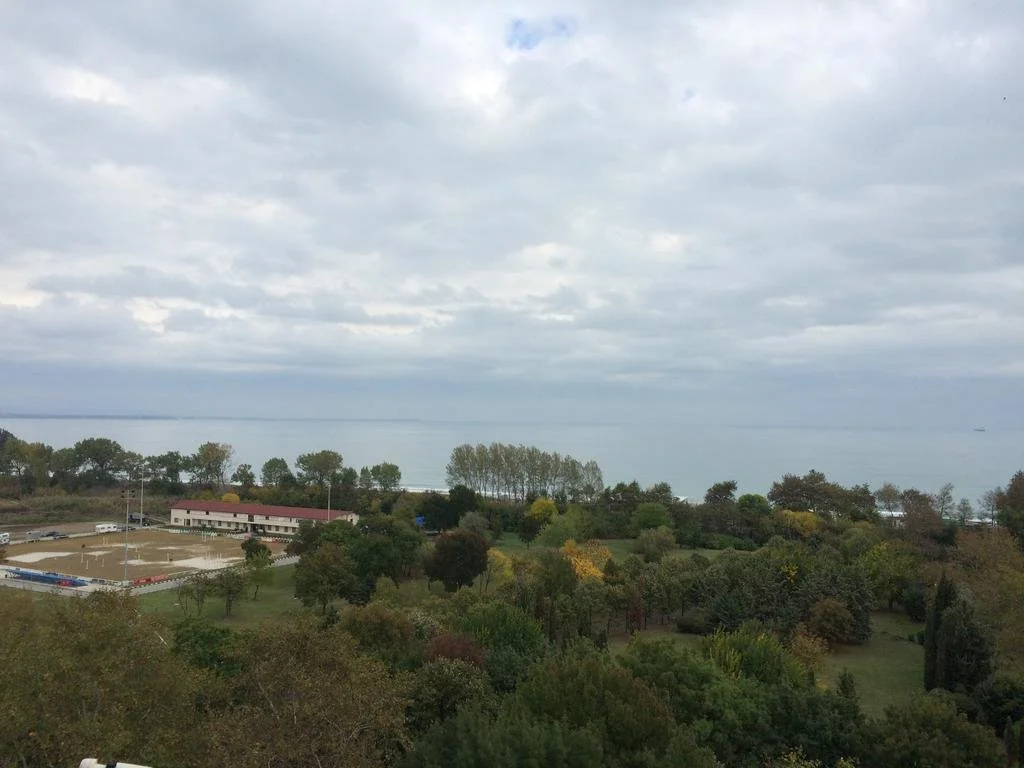 Hotel Park