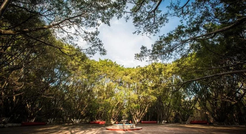 Hotel Plaza Tarasca