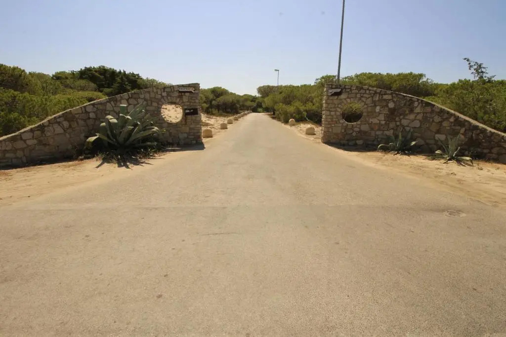 I Ginepri