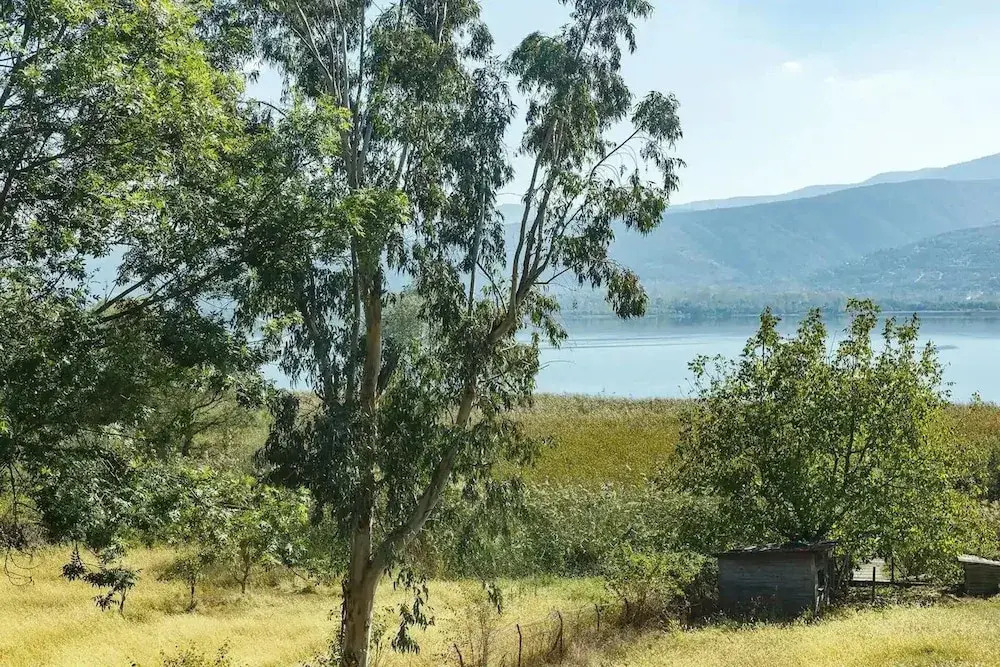 Lake Sapanca Breathtaking Private Villa Retreat
