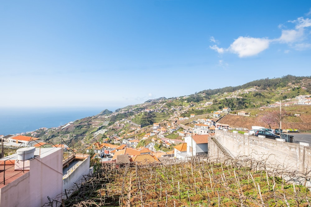 Villa Vineyard by Homie