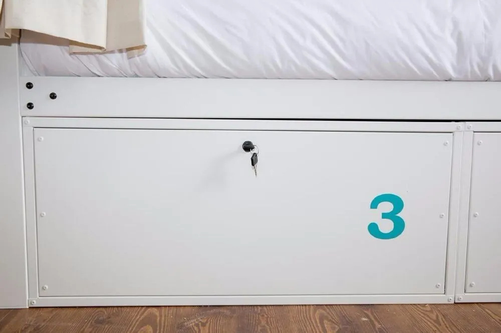 The Urban Jungle Hostel