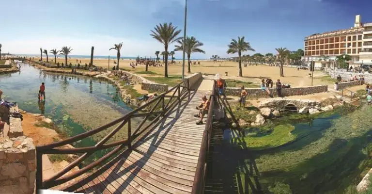 Roulette Oferta Dorada Medsur 4****