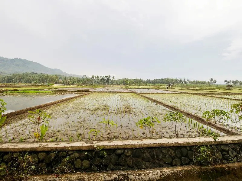 OYO Homes 91153 Desa Wisata Kawasen
