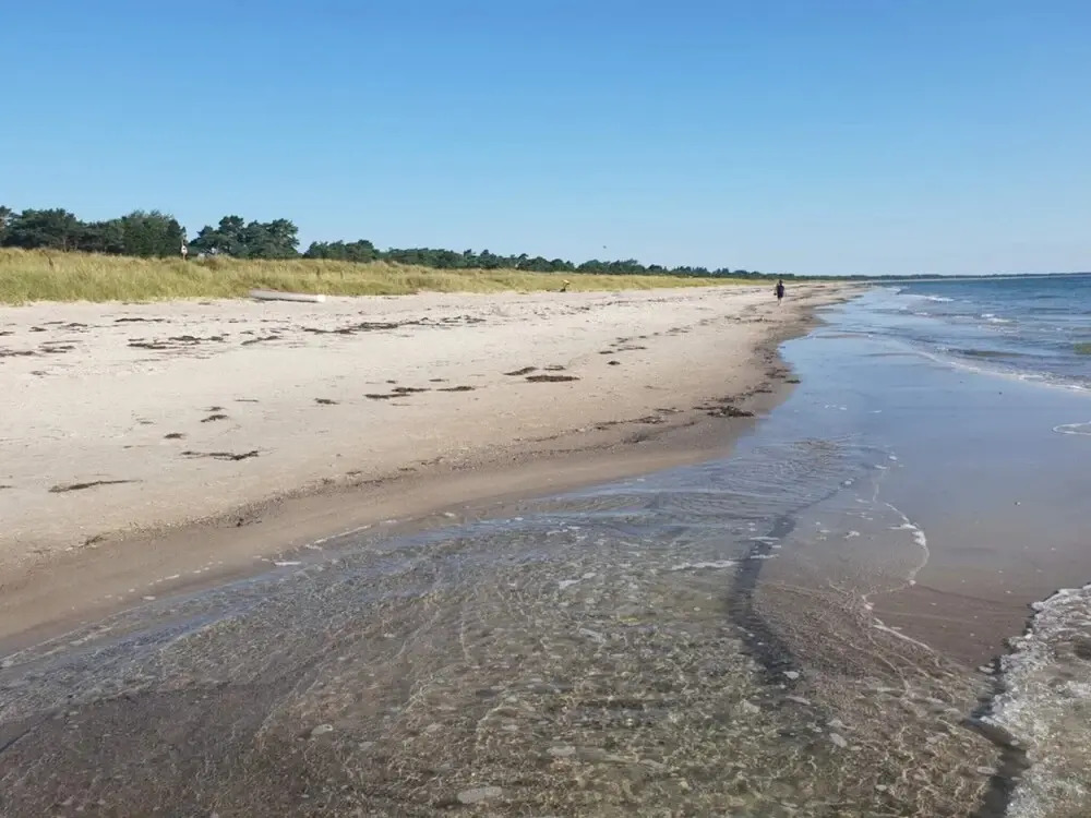 4 Person Holiday Home in Vaeggerlose