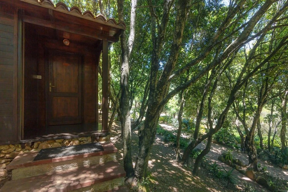 Casa Saltara