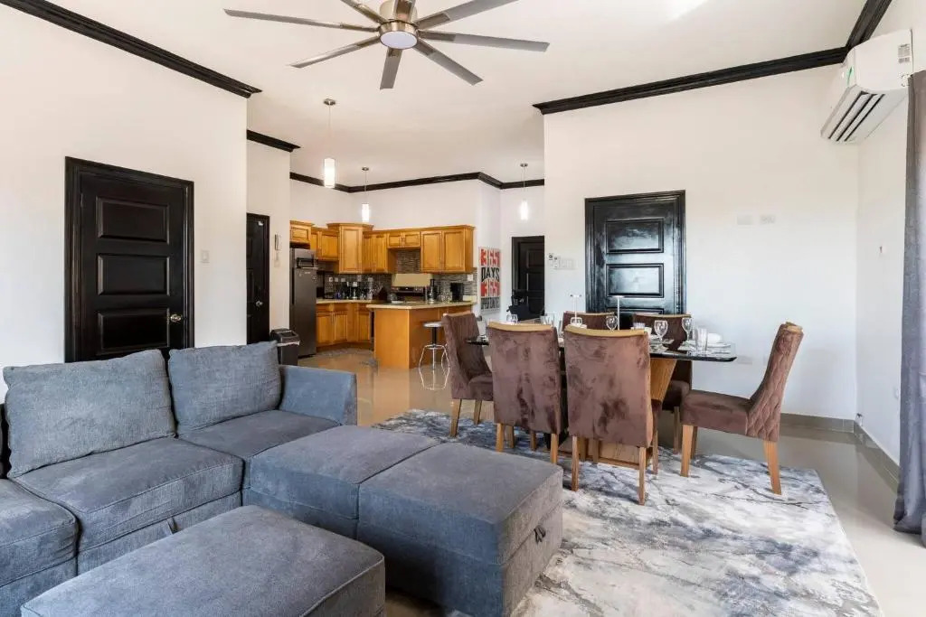 Luxury Living Modern & Contemporary Home With Brand New Pool in Manor Park