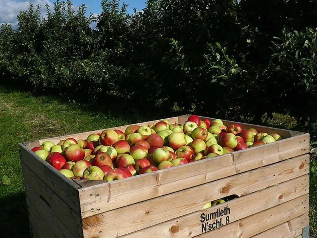 Ferienwohnung Rudis Obstgarten