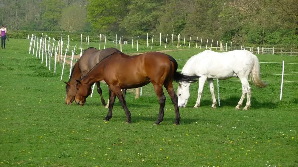 Keepers Lodge