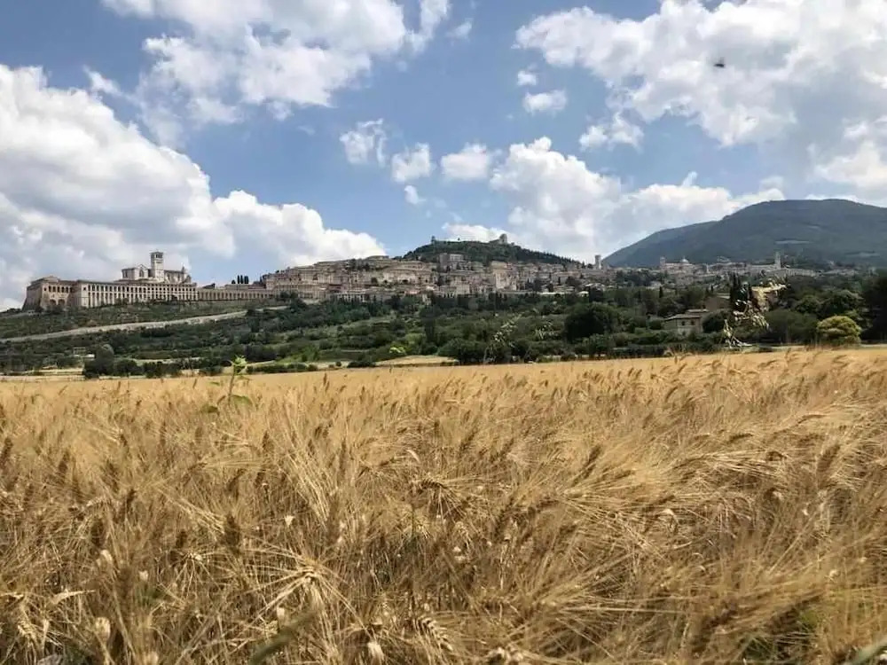 Mavitur Rooms Assisi