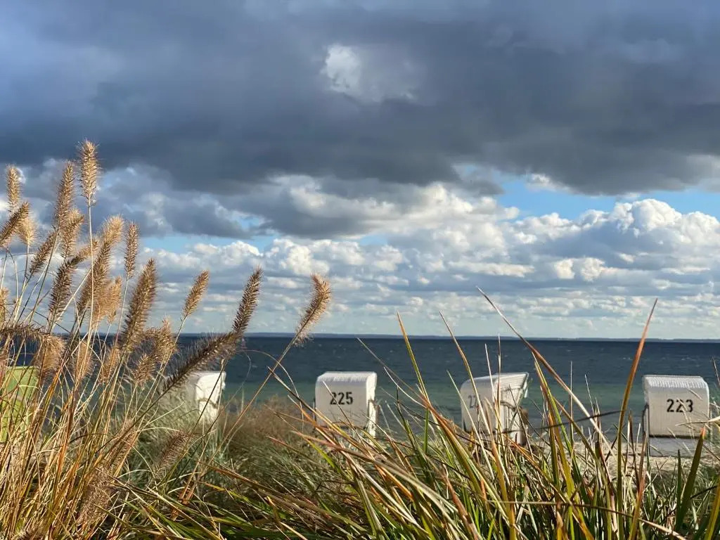 FeWo PANORAMADECK Familien-strandnah-Garten-Hunde-Sport-und Schwimmbadnah-HansaPark
