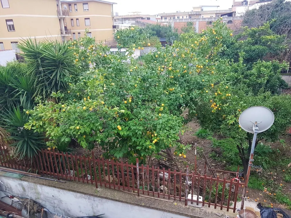 Apartment With one Bedroom in Casagiove, With Enclosed Garden and Wifi