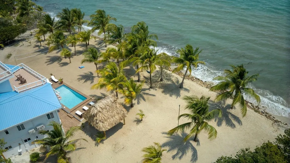 Dolphin Beach - Private Oceanfront 4-Bed Villa wPool on Huge Lot