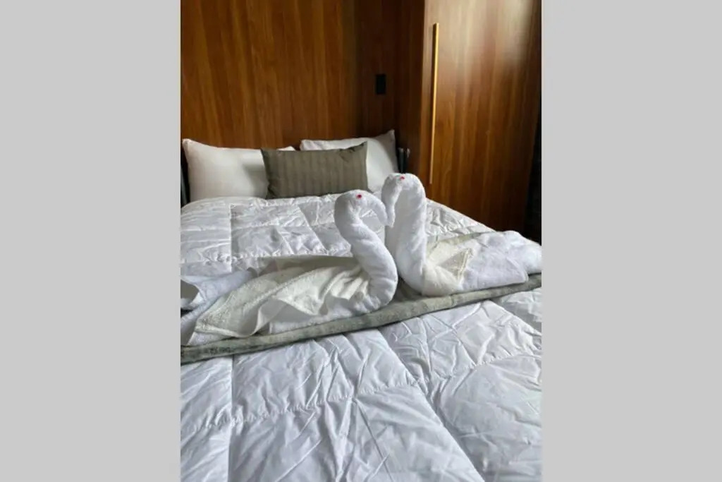 3E-Cozy! Micro apartment! in Oakland, sleeps 1